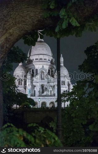 Basilica Sacre Coeur in Montmartre at night viewed behind a tree. Portrait format with copy space in sky at top right.