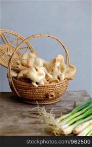 Basket abalone mushroom and citronella plant on wooden background, this vegetables is popular ingredient for Vietnamese vegan food