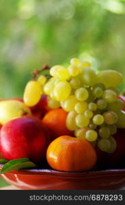 basket full of fresh fruits, pears, peaches, tangerine and grapes