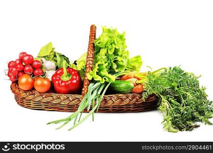 basket full of fresh vegetables