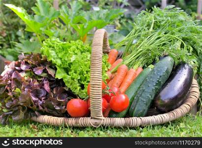 basket full of fresh vegetables in front of a vegatable garden