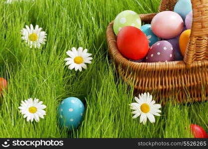 Basket of easter eggs on green grass and flowers