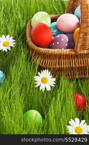 Basket of easter eggs on green grass and flowers