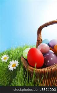 Basket of easter eggs on green grass with camomiles