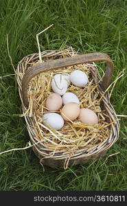 Basket of Eggs