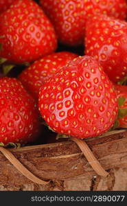 Basket of garden red ripe strawberries