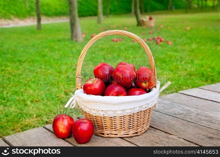 basket of red apples on wood floor with green field background