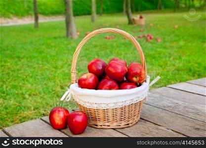 basket of red apples on wood floor with green field background