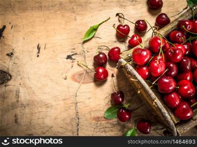 basket of red cherry and leaves . On a wooden table.. basket of red cherry and leaves .