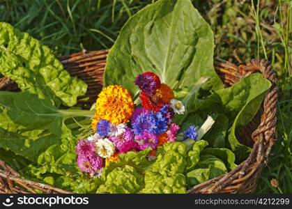 basket with chard,salad and flowers