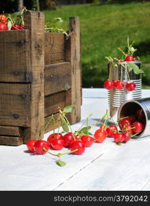 Basket with cherries to make cherry liqueur.