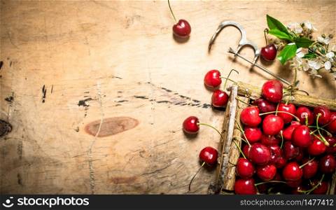 Basket with cherry and a metal tool for cherry. On wooden background. Basket cherry and flowers