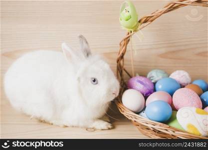 basket with eggs near white rabbit