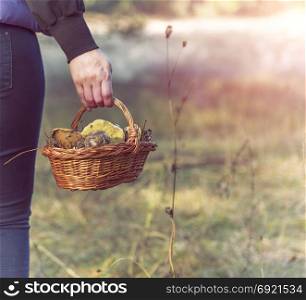 basket with forest mushrooms in a female hand against a forest background