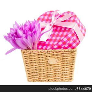 basket with  meadow saffron violet flowers  and gift box isolated on white