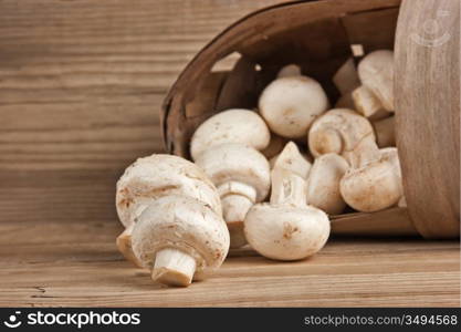 Basket with mushrooms on a wooden background