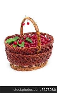 basket with ripe cherries isolated on white