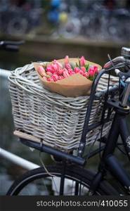 basket with tulips on a bike at the Amsterdam