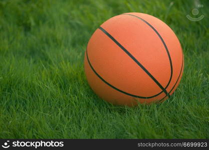Basketball Sitting In Green Grass