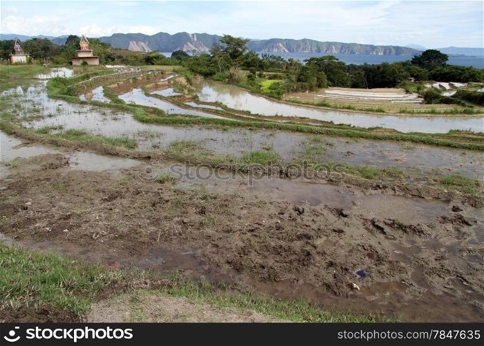 Batak graves and rice terraces in Samosir island, Indonesia