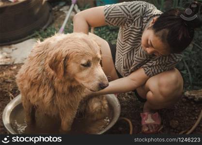 Bathing dog, A woman is bathing for her dog golden retriever.