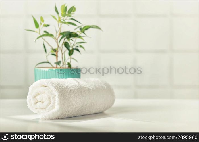 Bathroom accessories on white bathroom countertop against tile wall - white towel and house plant, copy space