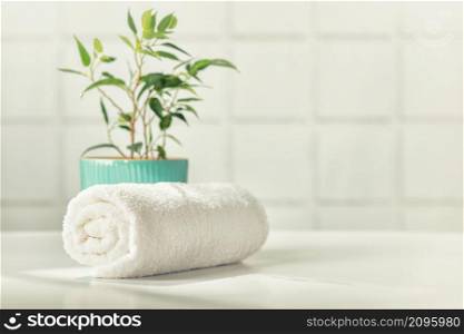 Bathroom accessories on white bathroom countertop against tile wall - white towel and house plant, copy space