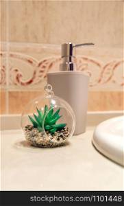 Bathroom detail with soap dispenser and decorative plant. Bathroom detail with soap dispenser and plant