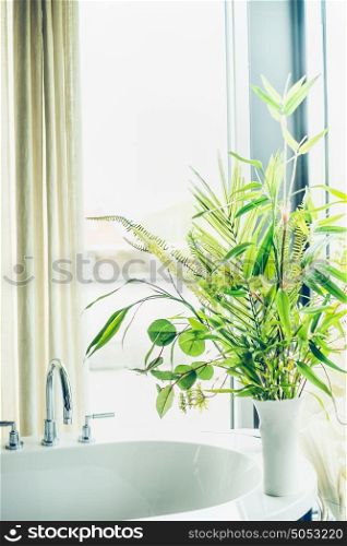 Bathroom green indoor plants in white vase, home interior concept