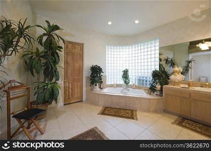Bathroom with glass brick window and trouser press