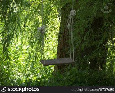 Baumschaukel. Swing from a tree in the shade