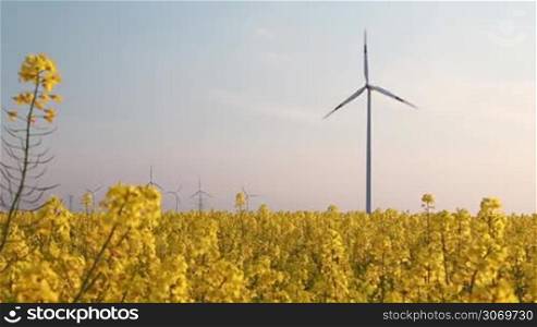 Bausteien des europaischen Energiemixes fur die Energiewende: Biomasse und Windenergie