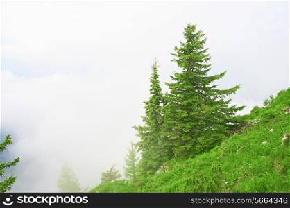 Bavarian landscape at Alps with low clouds
