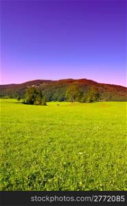 Bavarian Landscape with Woodshed, Germany