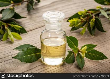 Bay laurel essential oil on wooden background. Bay oil on glass bottle . Laurus nobilis