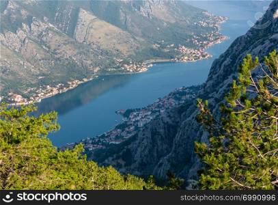 Bay of Kotor summer misty view from up with pine forest on slope (Montenegro)