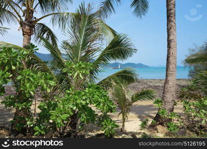 Bay on a tropical island in Thailand