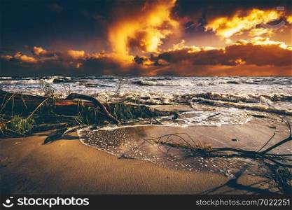 Beach after storm at sunset. Scenic view. Wild natural landscape, weather phenomenon.. Beach after storm at sunset.