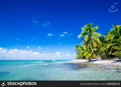 beach and beautiful tropical sea