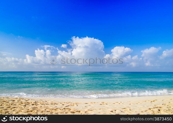 beach and beautiful tropical sea