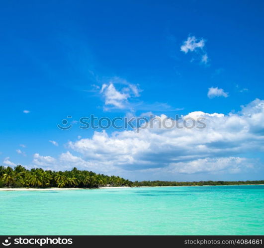 beach and beautiful tropical sea