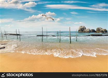 Beach and fishing poles in Sri Lanka