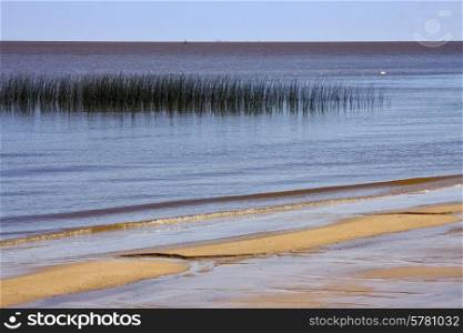 beach and grass in rio de la plata colonia del sacramento uruguay