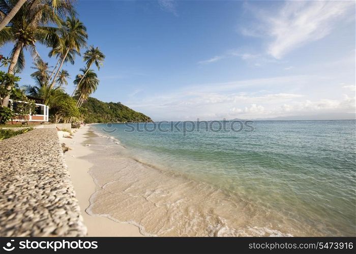 Beach and palm trees on Koh Pha Ngan; Thailand