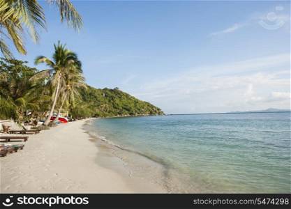 Beach and palm trees on Koh Pha Ngan; Thailand