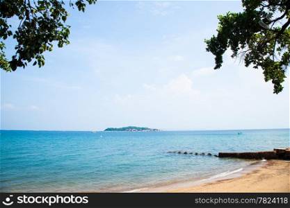 Beach and tree Beaches with crystal clear water and trees.