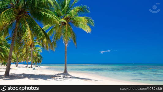 beach and tropical sea