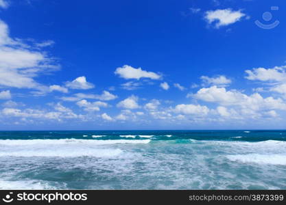 beach and tropical sea