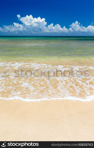 beach and tropical sea