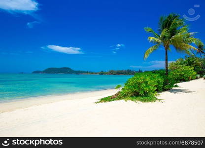 beach and tropical sea